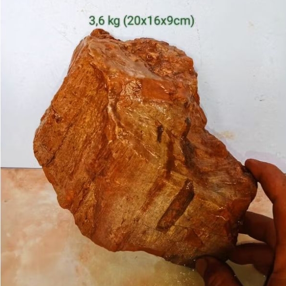 batu akik bahan fosil aren (721)