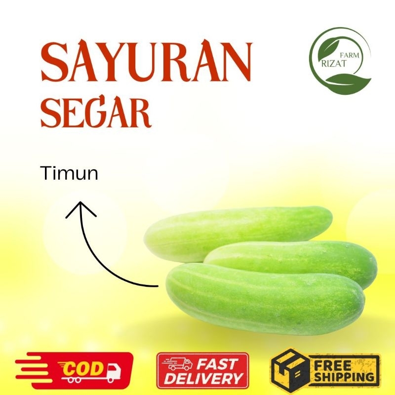 

[Dikirim Instant] Timun Mentimun