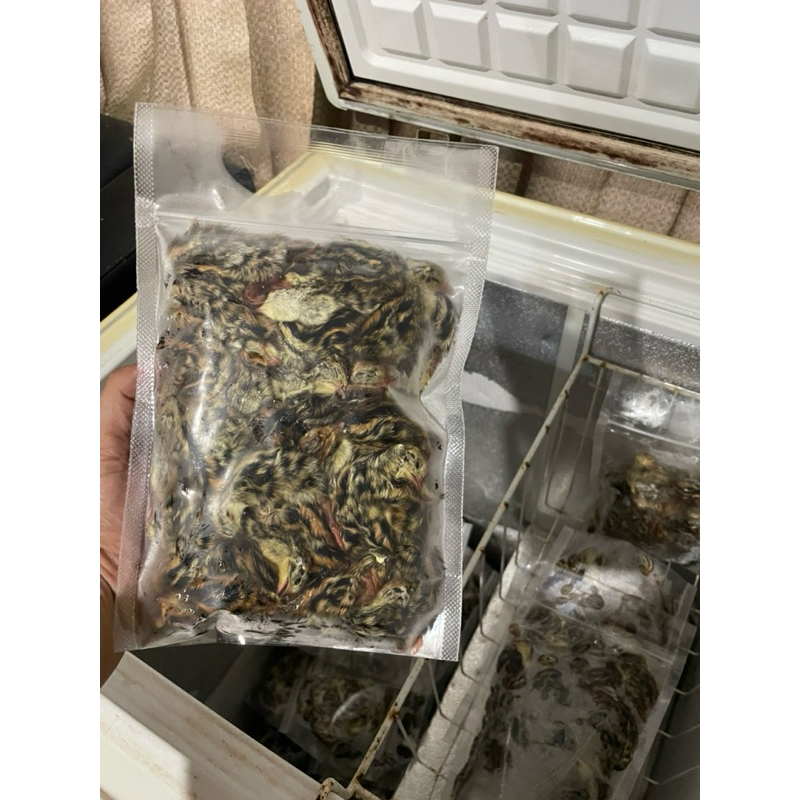 

DOQ puyuh frozen 50 ekor