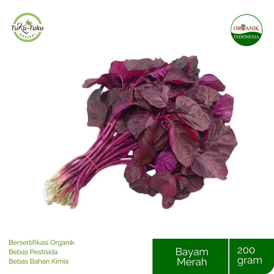 

PAY 2 GET 3 BAYAM MERAH ORGANIK BSP FARM 200GR