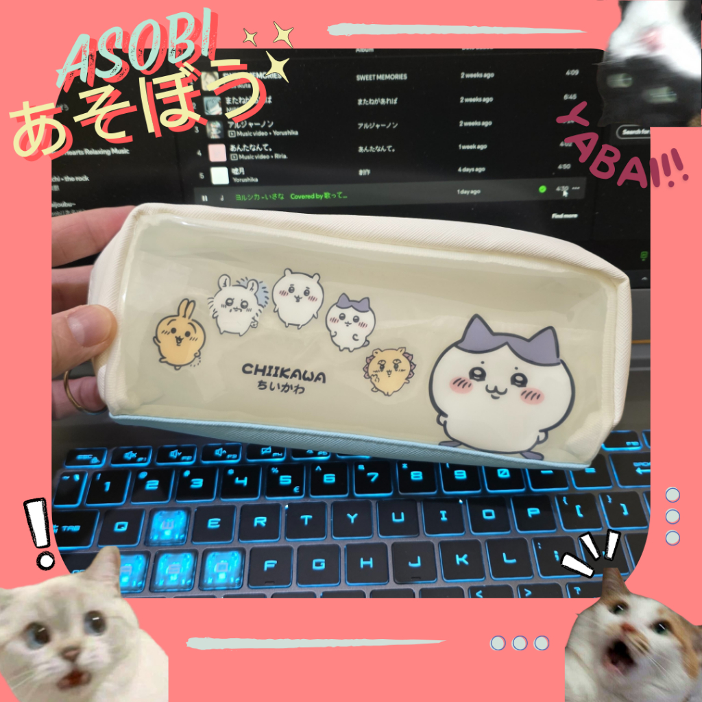 

ASOBI TEMPAT PENSIL LUCU CIIKAWA DAN LABUBU MURAH