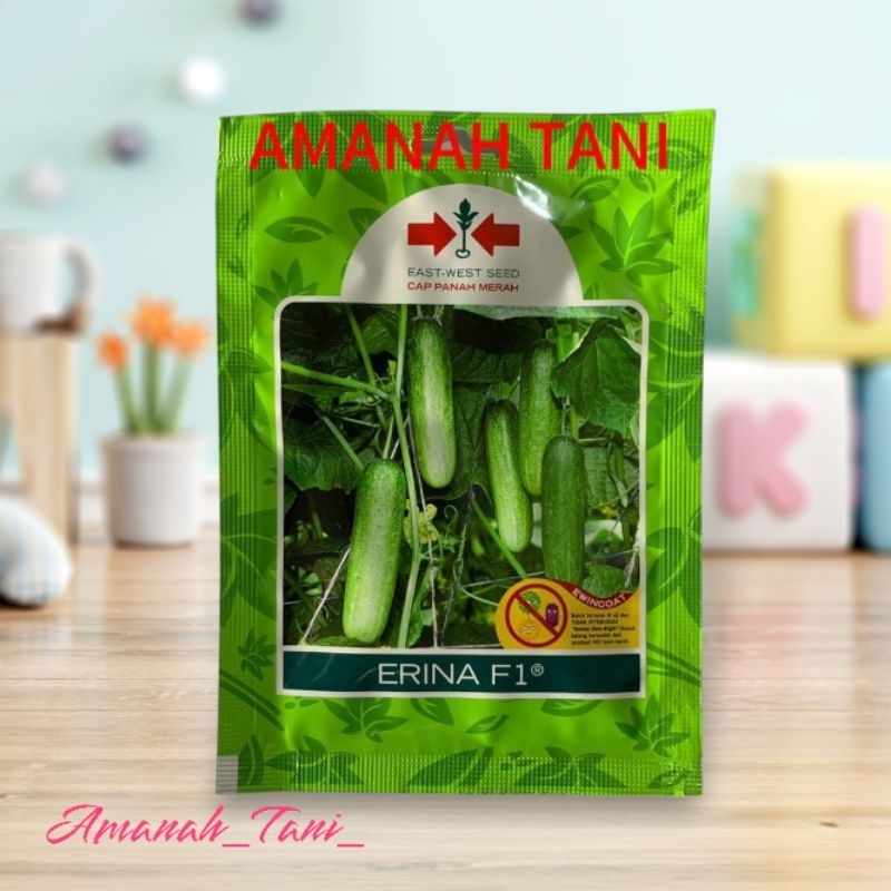 Benih Timun Erina F1 Cap Panah Merah