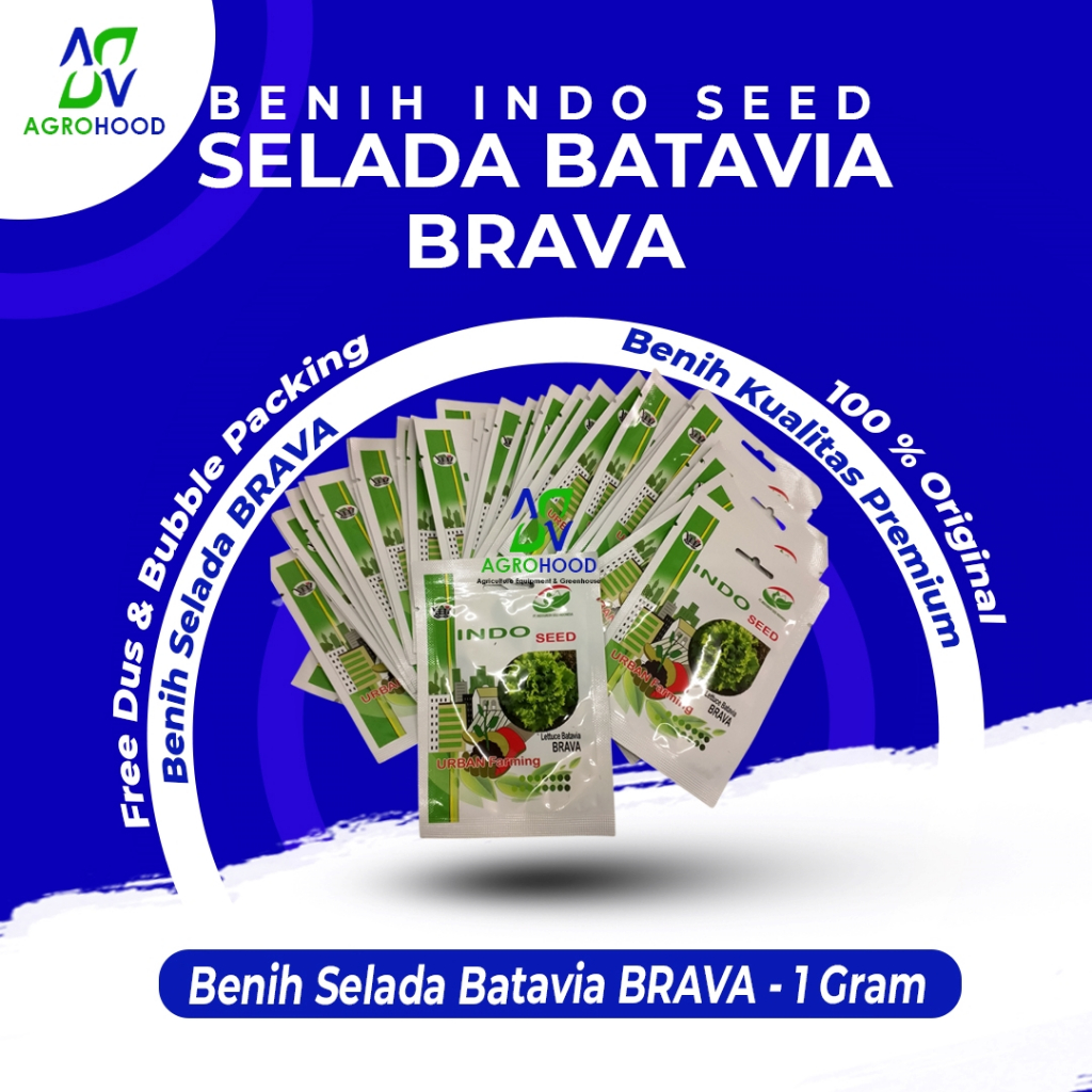 Benih Bibit Selada Batavia Brava Indo Seed Kemasan 1 Gram