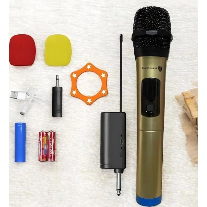 KARAOKE MIC WIRELESS MKF 01 PROFESSIONAL BRAIN POWER