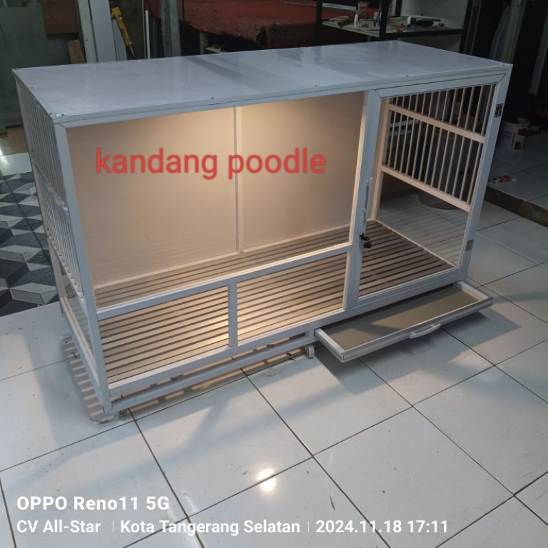 kandang anjing poodle