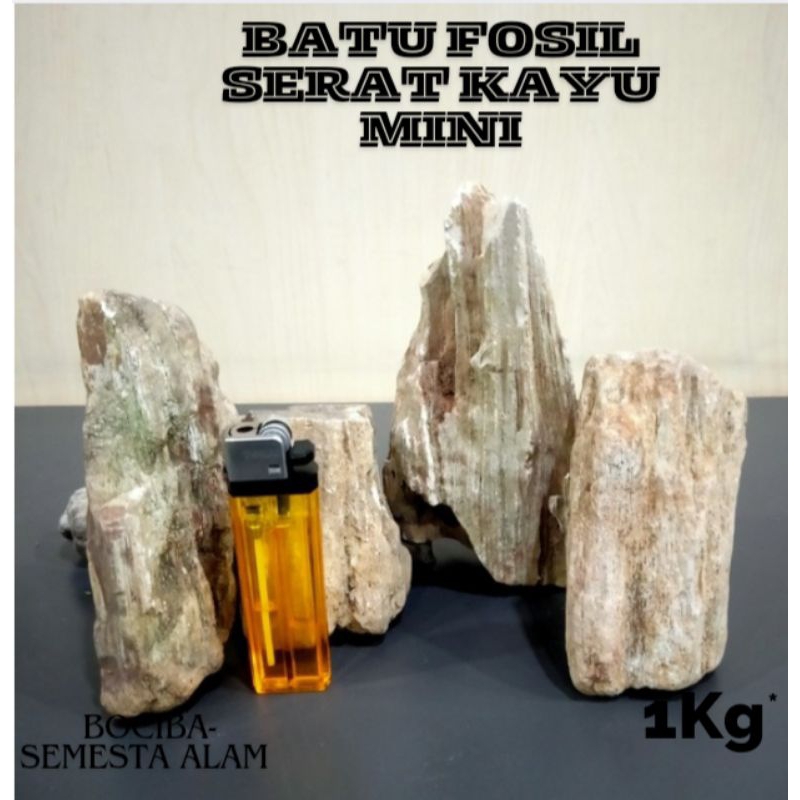 BATU SERAT KAYU MINI Aquarium/ aquascape