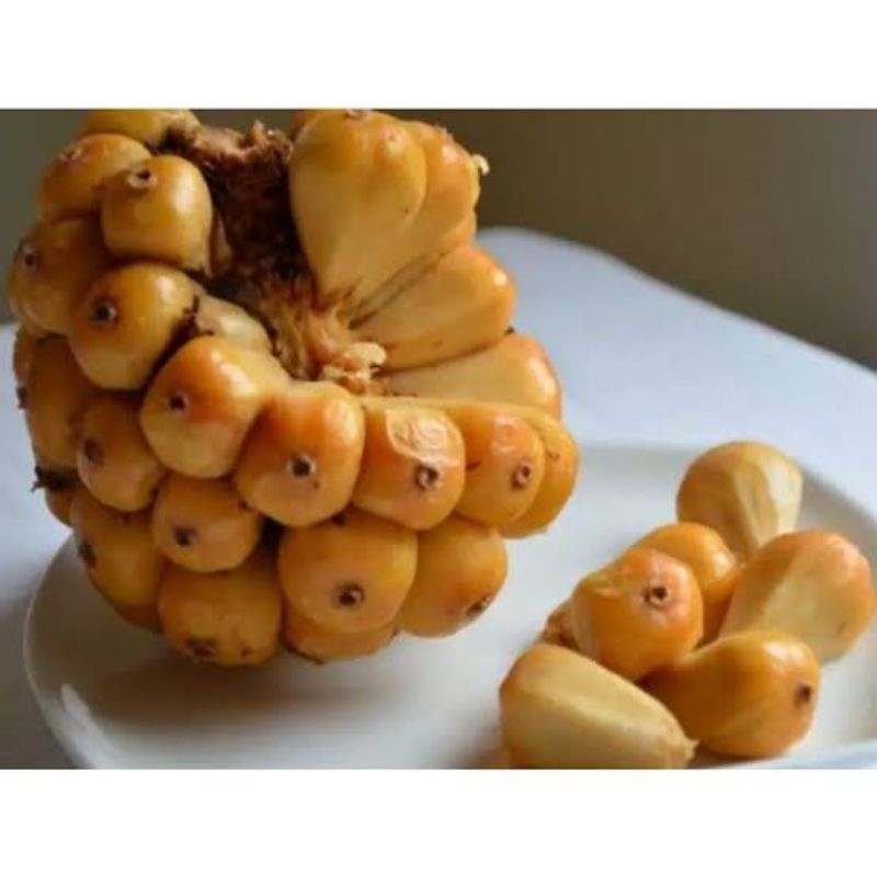 

ASAM CIKALA / PATIKALA FRESH per 100 gr