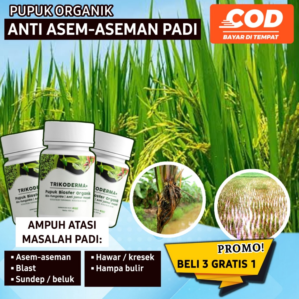 Pupuk Trikoderma Sehatkan Tanaman dengan Trikoderma Lindungi dari Penyakit Berbahaya dan Stres