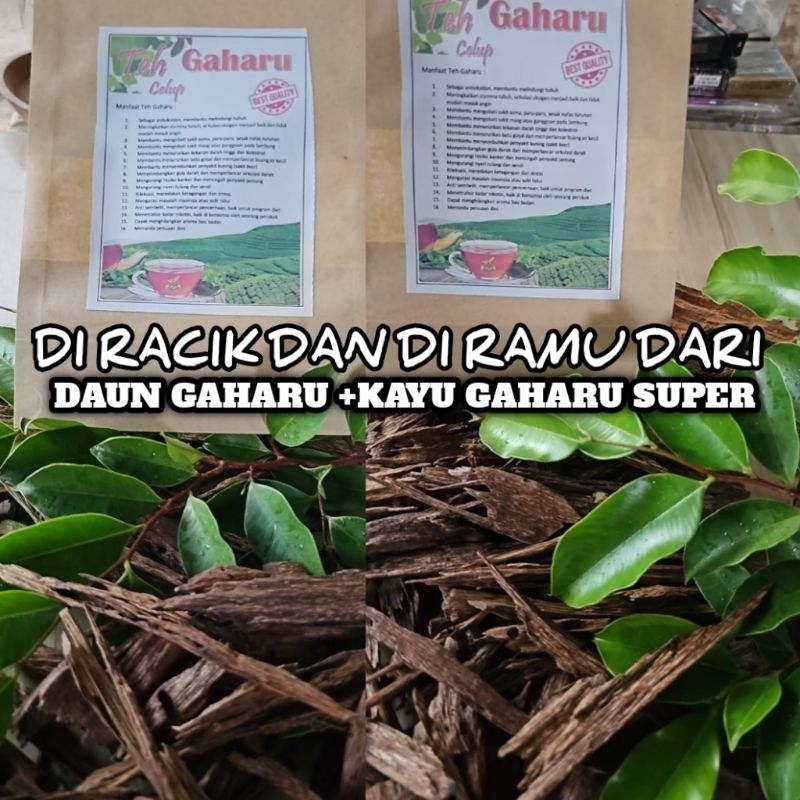 

Teh Gaharu Kalimantan jenis Malaccensis solusi Diet sehat