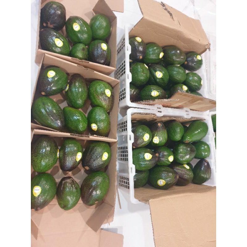 

Alpukat Nikol / alpukat mentega Nikol Avocadoland /alpukat premium, per kotak isi 4-6, kira2 2kg, jabodetabek garansi, luar kota tidak garansi