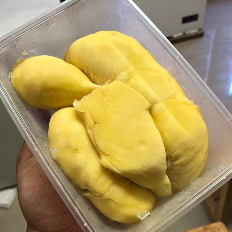 

Durian Montong Palu Kupas 500 gr Premium Murah Ready
