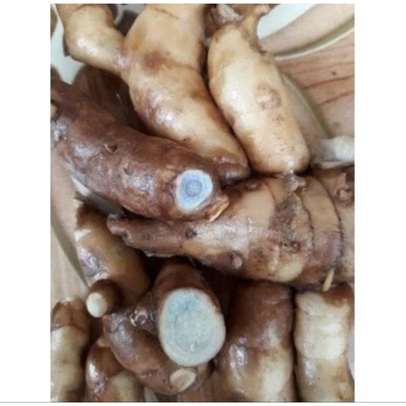 

cod 1kg terlaris kunyit hitam segar/temu Ireng/temu hitam/kunyit/kunyit hitam terlaris