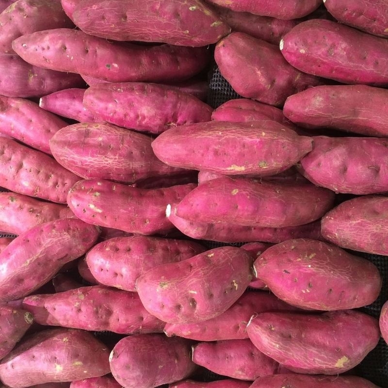 

Ubi merah Ubi Oren besar fresh per-1kg gram