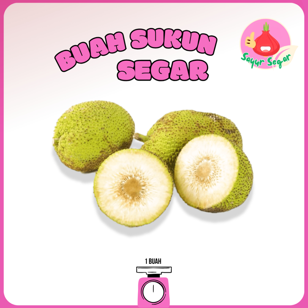 

Sayur Segar - Buah Sukun Segar / Breadfruit 1 Buah