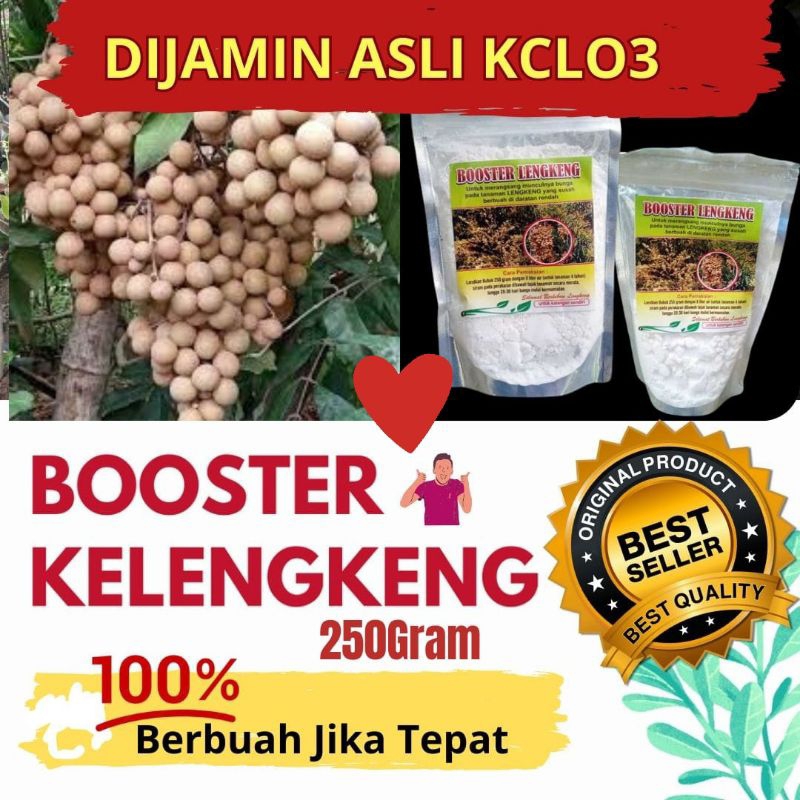 Booster kelengkeng cepat berbuah, Booster kelengkeng kclo3 murni, Booster kelengkeng murni