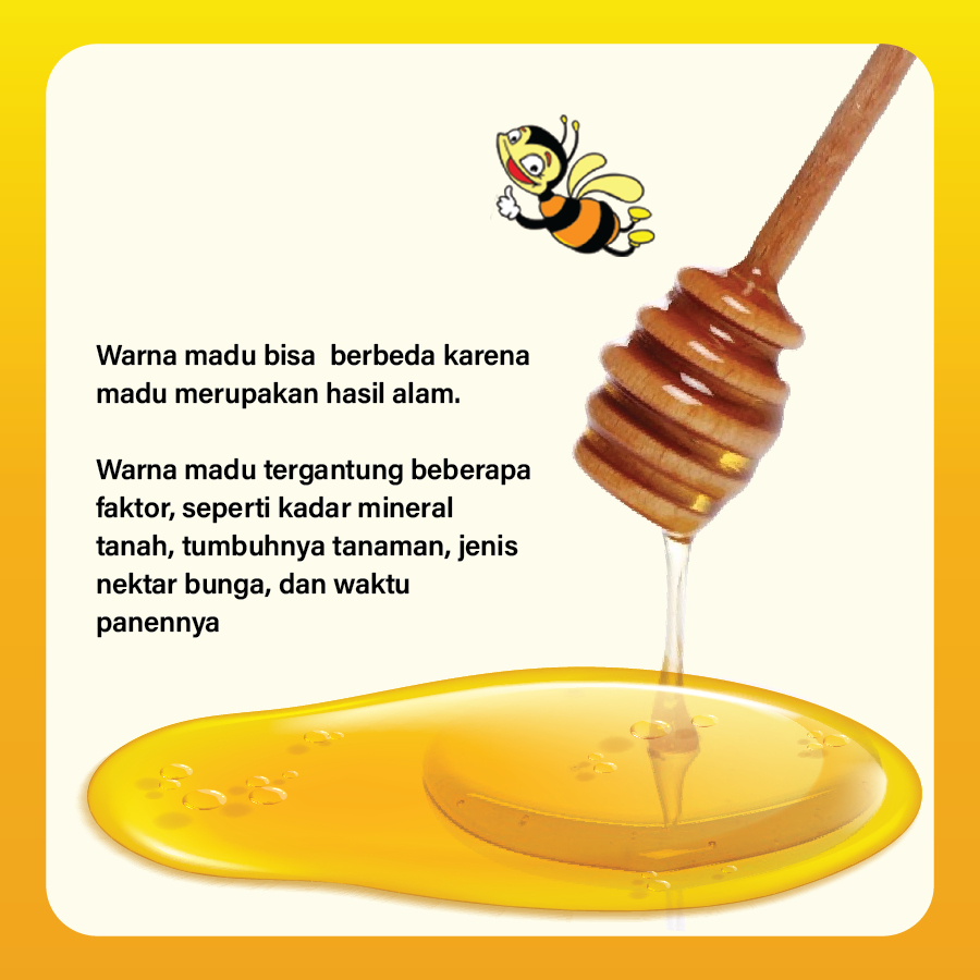 

QH Paket 2 Madu TJ Murni 500gr Refill Pouch