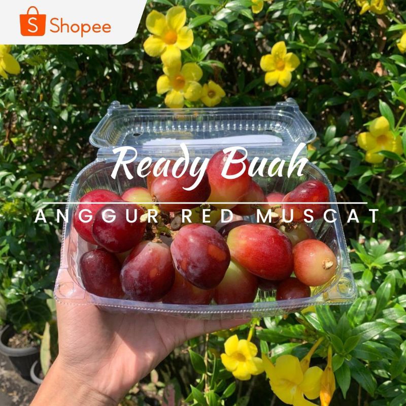

ANGGUR RED MUSCAT / PAX