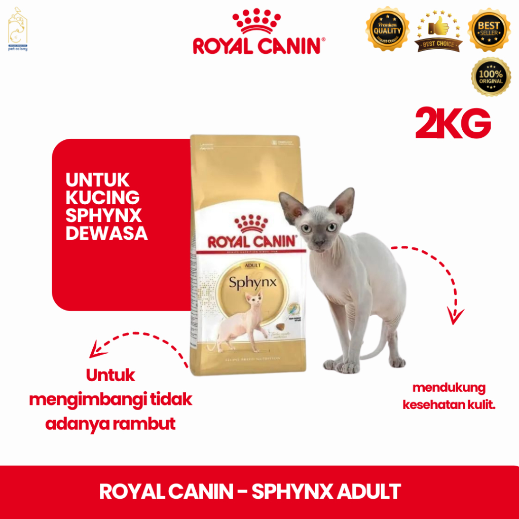ROYAL CANIN CATFOOD DRY ADULT SPHYNX 2KG || MAKANAN KUCING SPHYNX || ROYAL CANIN