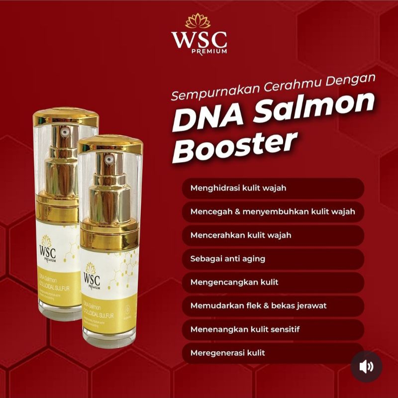 Ecer Cream WSC ORGANIK PREMIUM