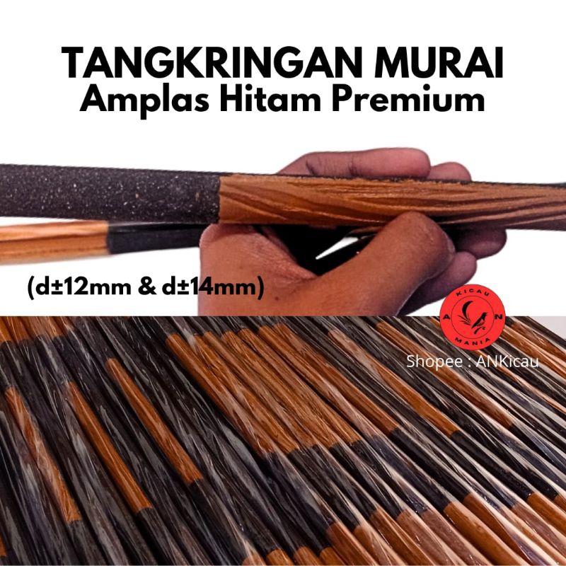 Tangkringan Murai Hitam Premium