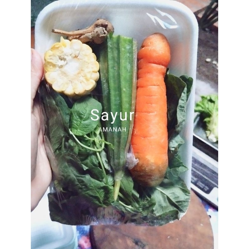 

KIRIM INSTAN ~ Paket sayur bening bayam