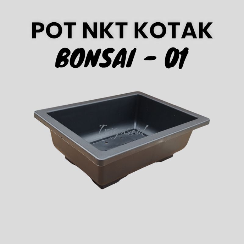 IGI -  Pot NKT BONSAI 01 Pot Kotak Hitam Pot Kotak Pot Bonsai Kotak Pot Tanaman Bonsai IGI