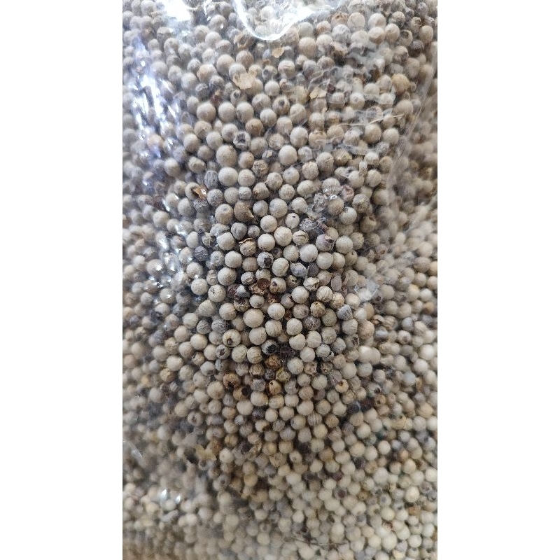 

Biji Merica Utuh Kualitas Super / Lada Utuh Murah 250grm - 1Kg . JarLuk_StoRe