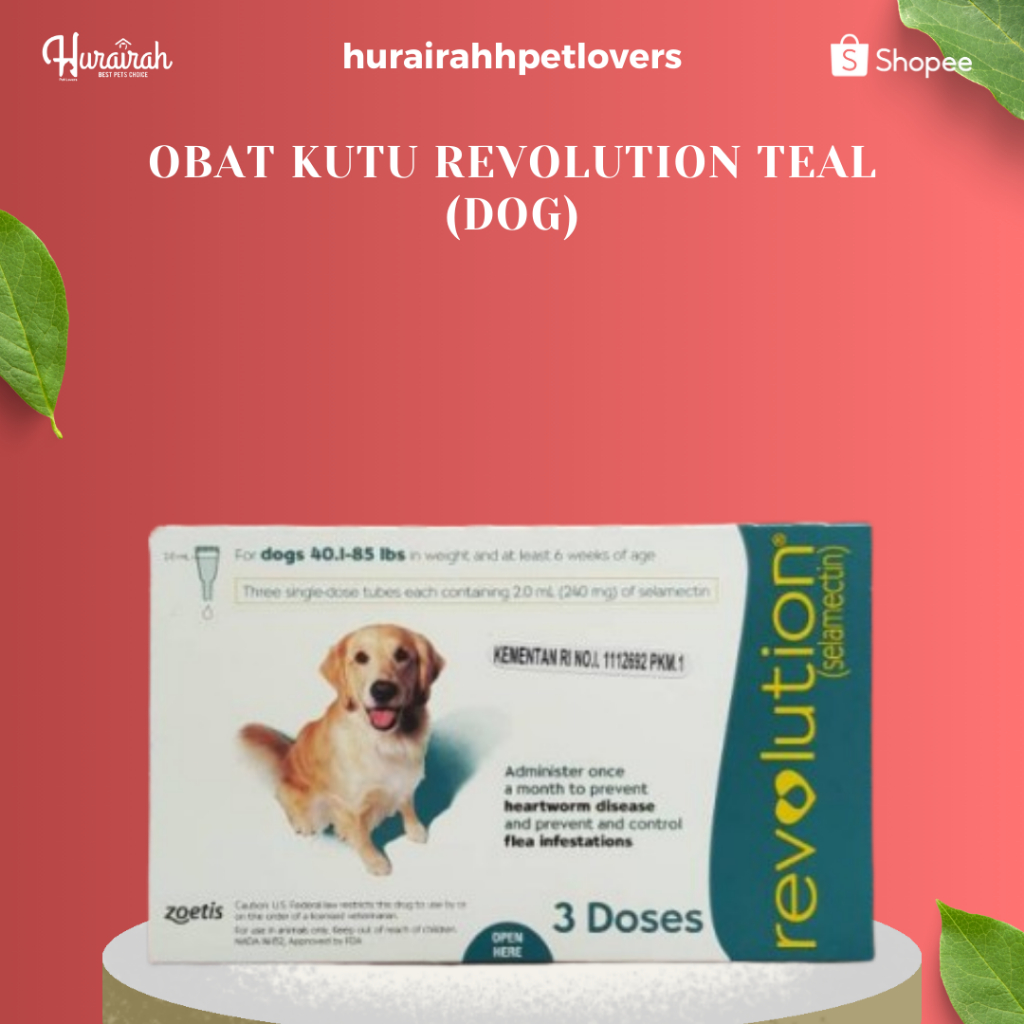 OBAT KUTU REVOLUTION TEAL (DOG)