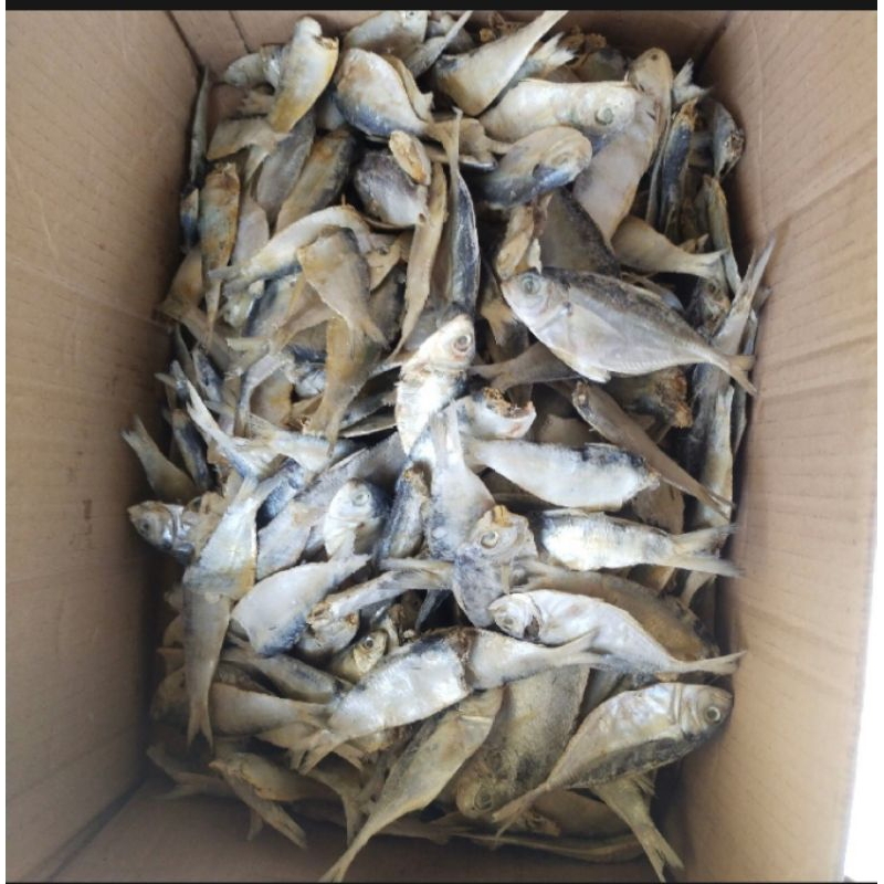 

ika. asin campur harga untuk 1 kg hasil dari laut sendiri di olah dgn fress