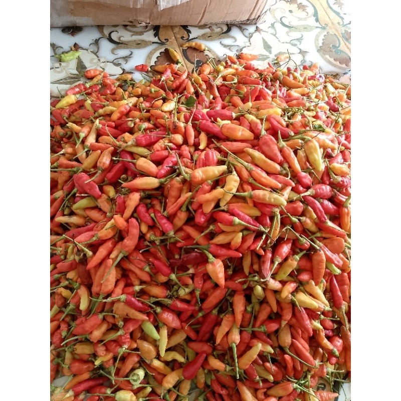 

cabe rawit merah (jablay)