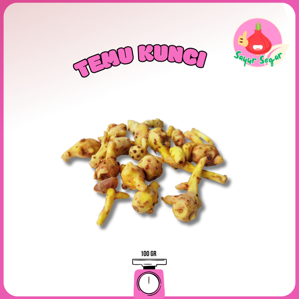

Sayur Segar - Bumbu Temu Kunci/Greater Galangal 100 gr