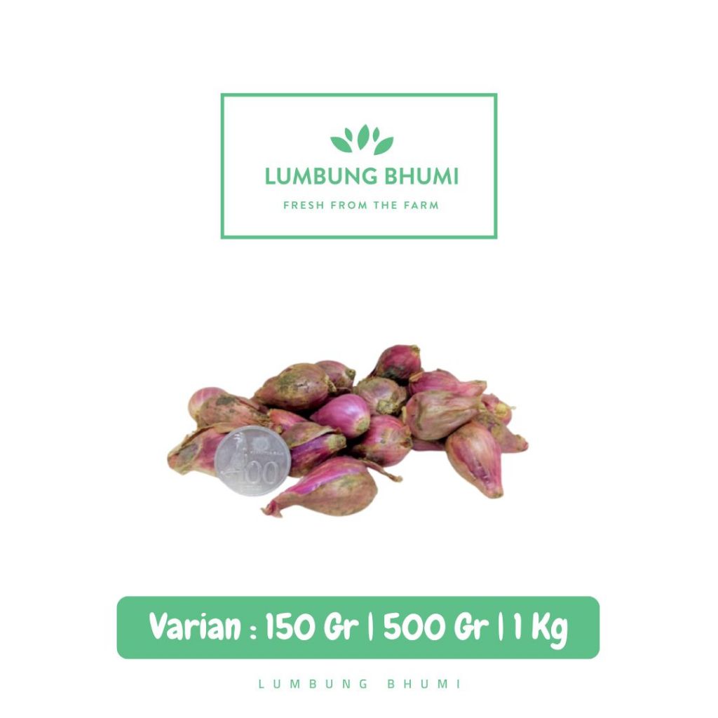 

Bawang Merah LOKAL CAMPUR Sayur - Lumbung Bhumi
