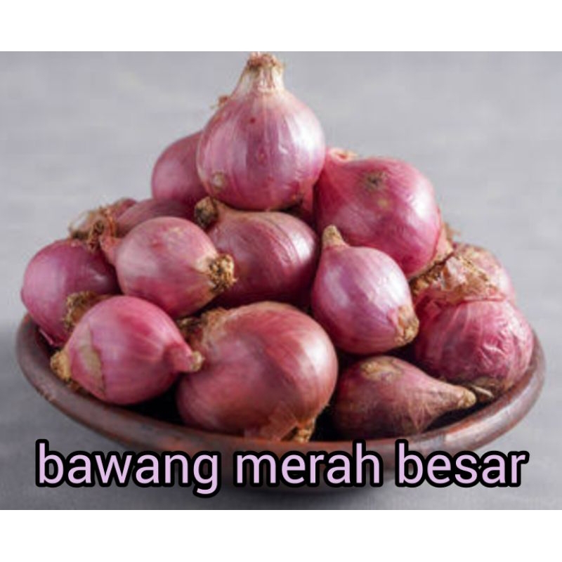 

BAWANG MERAH BESAR SUPER RP 14.000 / 250 gram