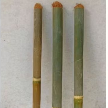obor bambu panjang 40-50 cm bambu super kuat awet obor bambu