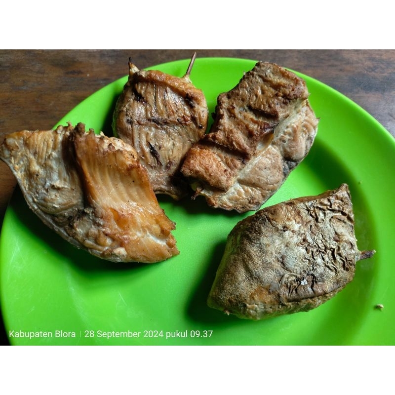 

IKAN MANYUNG ASAP JUMBO UKURAN BESAR ISI 6