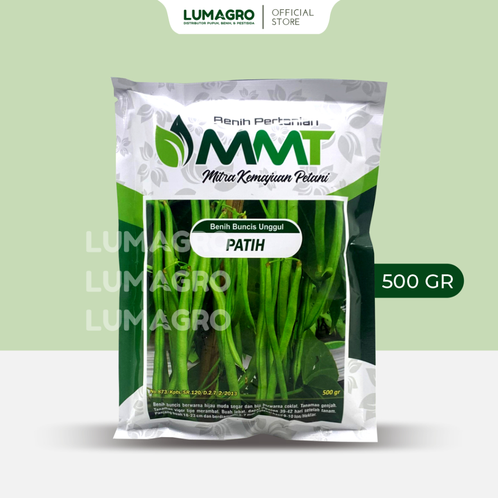 Benih Buncis Patih 500gr Bibit Unggul Tahan Virus Gemini MMT