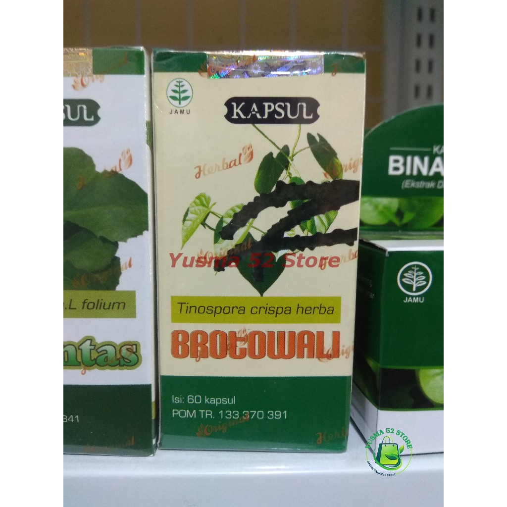 

Brotowali 60 kapsul Herbal diabetes