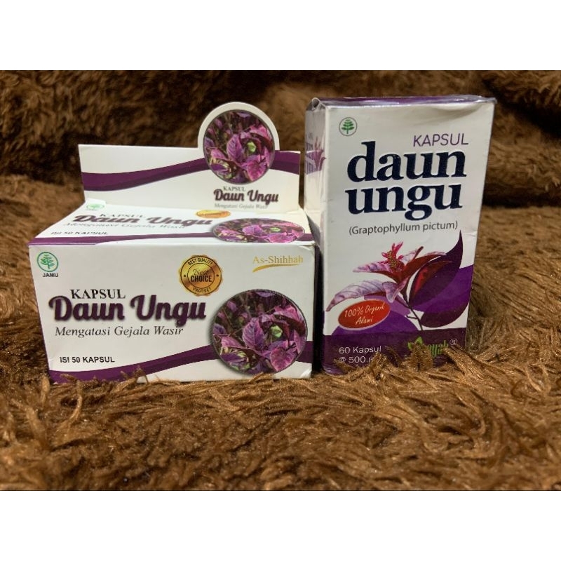 

Kapsul Daun Ungu (Obat Wasir)