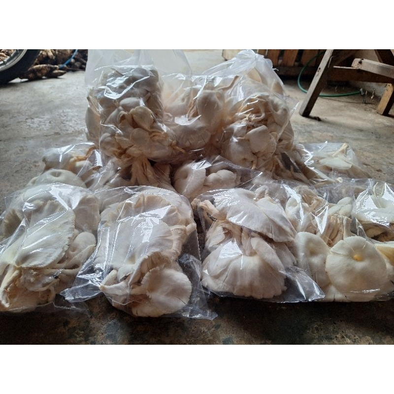 

jamur tiram fresh 200 gr (DISKON buka pertama)