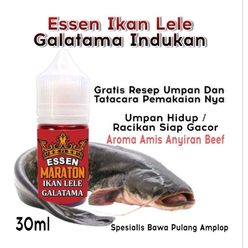 Essen Super Premium Maraton Khusus Galatama Ikan Lele, Essen Galatama Lele Paling Gacor 2023, Essen 