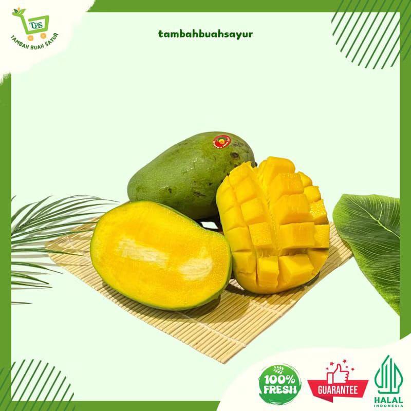 

Mangga Rujak Fress Dari Pohon! Petik Cuci Langsung Kirim