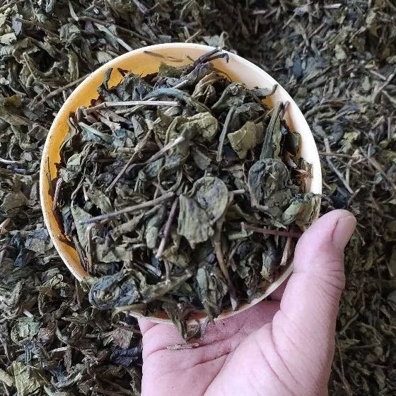 

Minuman Teh Kiloan Teh Hijau Kiloan