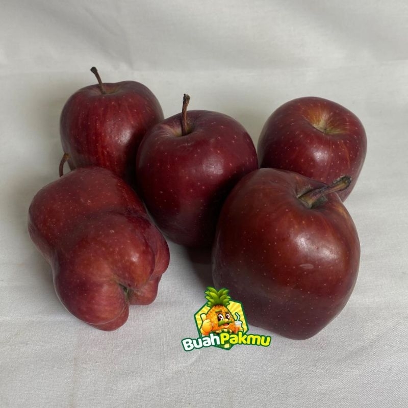 

Apel Red 125