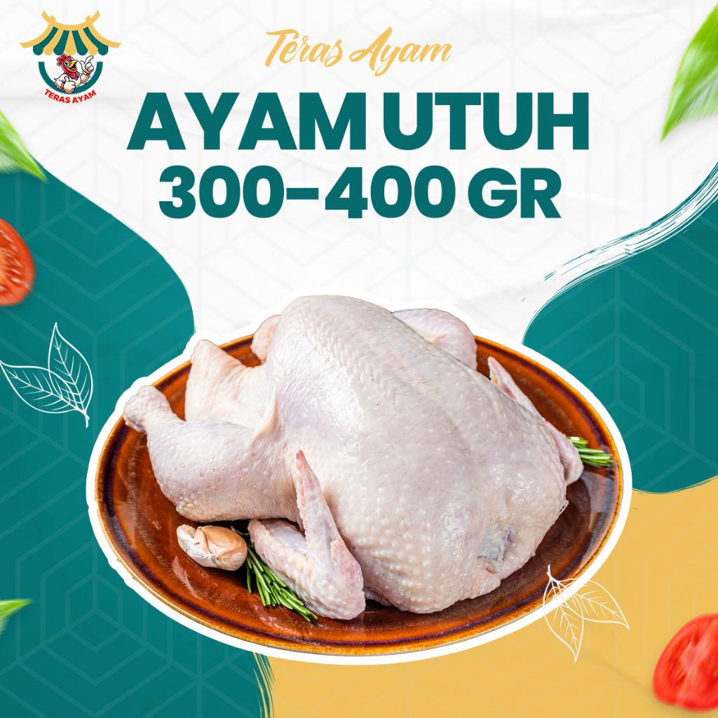 

Ayam Utuh All Size 300gr, 400gr, 500gr, 600gr, 700gr, 800gr, 900gr, 1kg, 1.1kg, 1.2kg, 1.3kg | Halal, Sehat, Premium