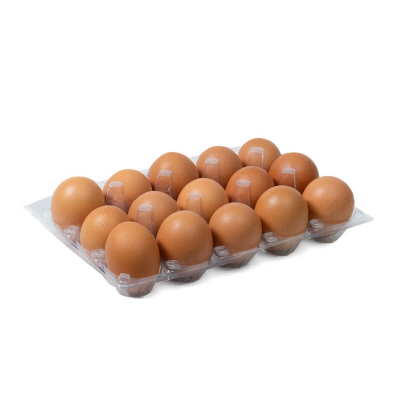

Telur Ayam Negeri Berkualitas