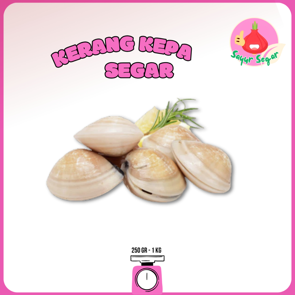 

Sayur Segar - Kerang Kepa Segar/Kepa Clam