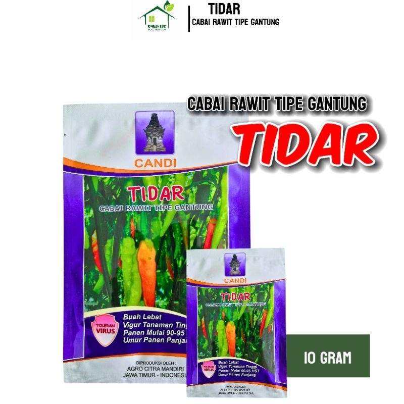 Benih Cabe Tidar Kemasan 10 gr Cap Candi Original Pabrik