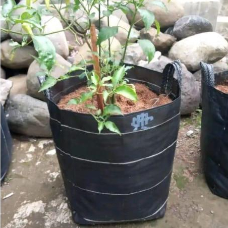 Planter Bag pot tanaman ukuran 50 liter | planter bag 40x40