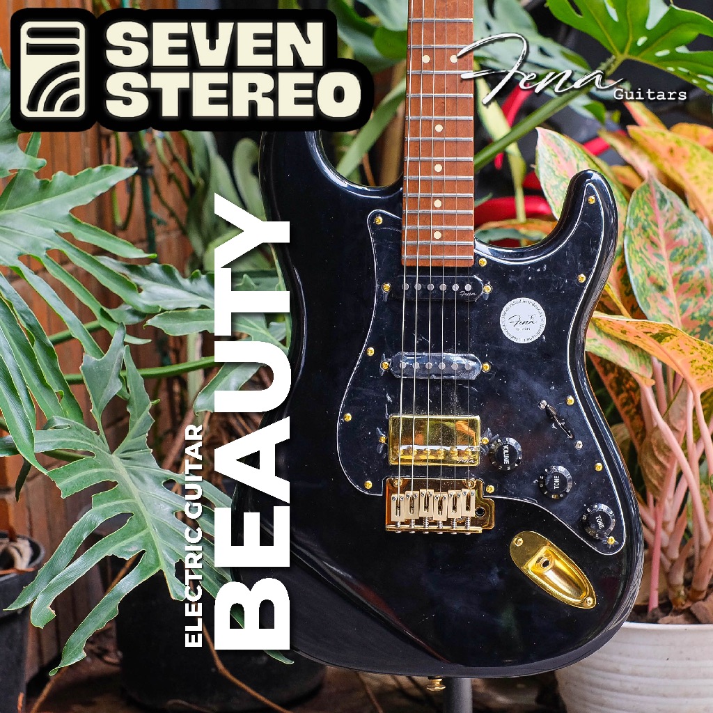 Fena Stratocaster Standard Series Black Beauty With Gold Hardware Fena Guitar STD