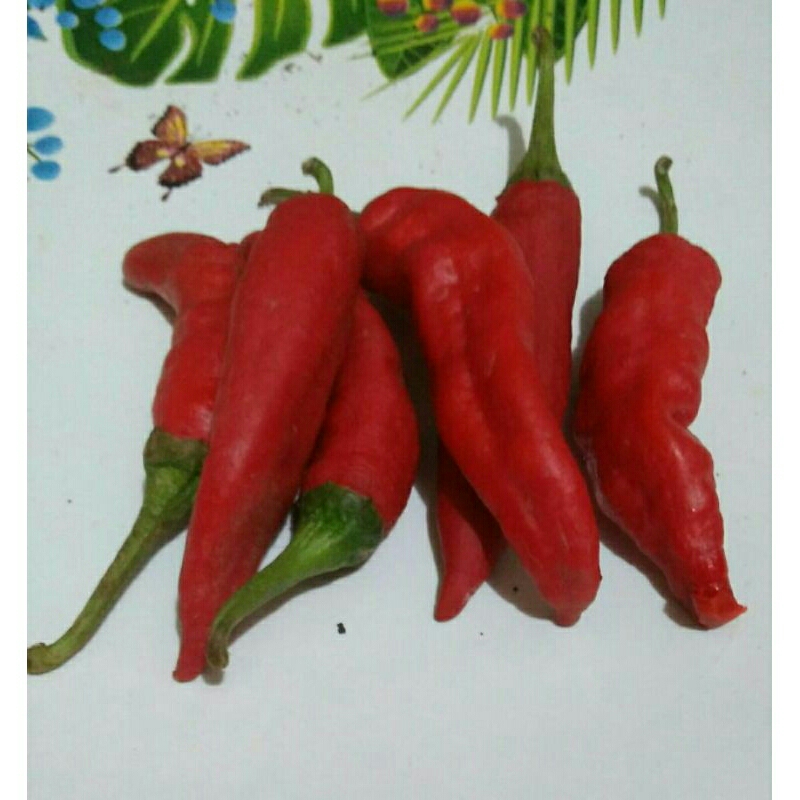 

cabe merah